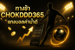 ทางเข้า CHOKDDD365