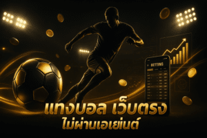 แทงบอล เว็บตรง ไม่ผ่านเอเย่นต์