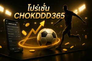 โปรโมชั่น CHOKDDD365
